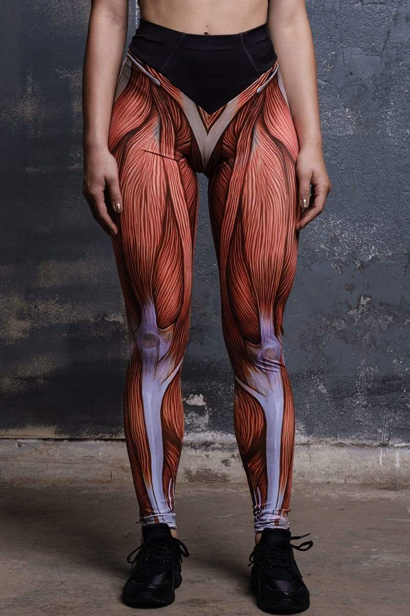 Anatomy Muscle Workout Leggings for Yoga