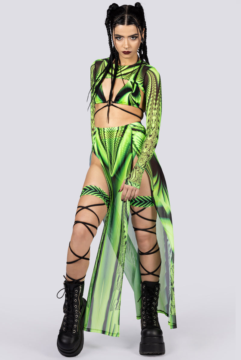 Acidia High Cut Booty Shorts Front View