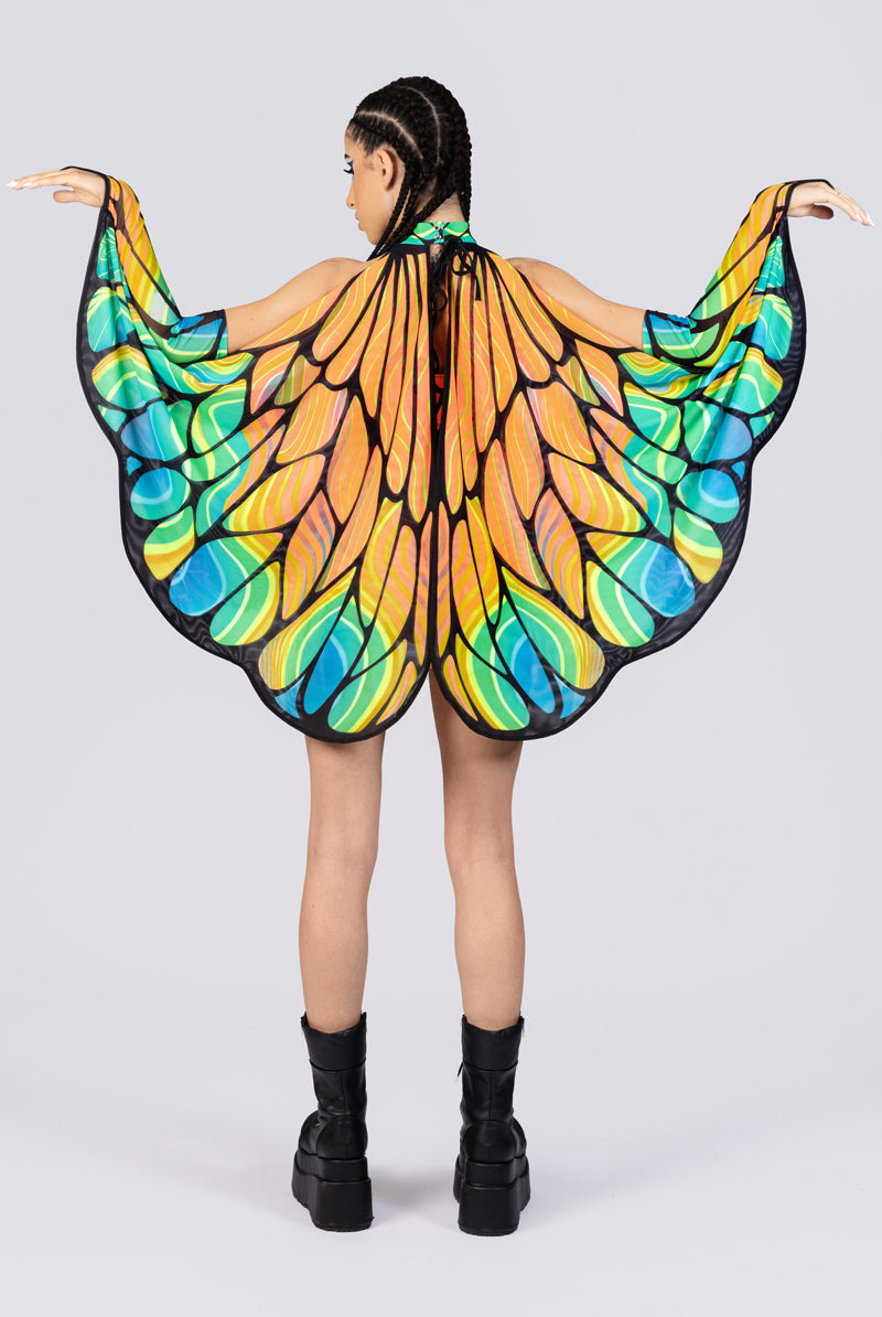 firefly-v-string-crop-top-back-view