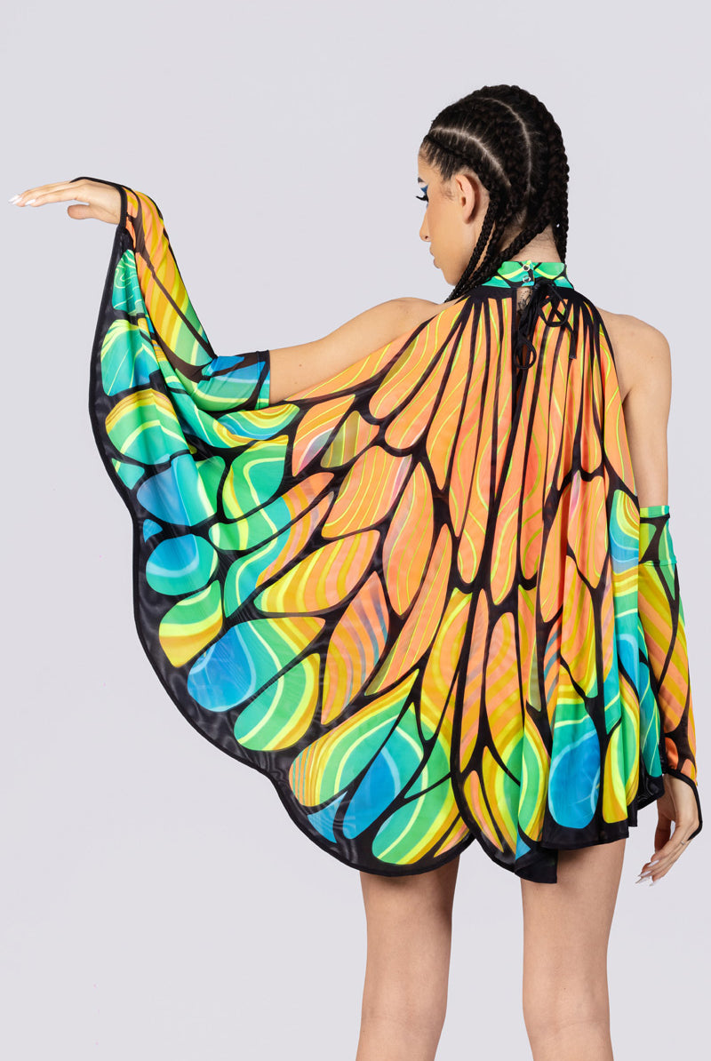 firefly-wings-close-back-view