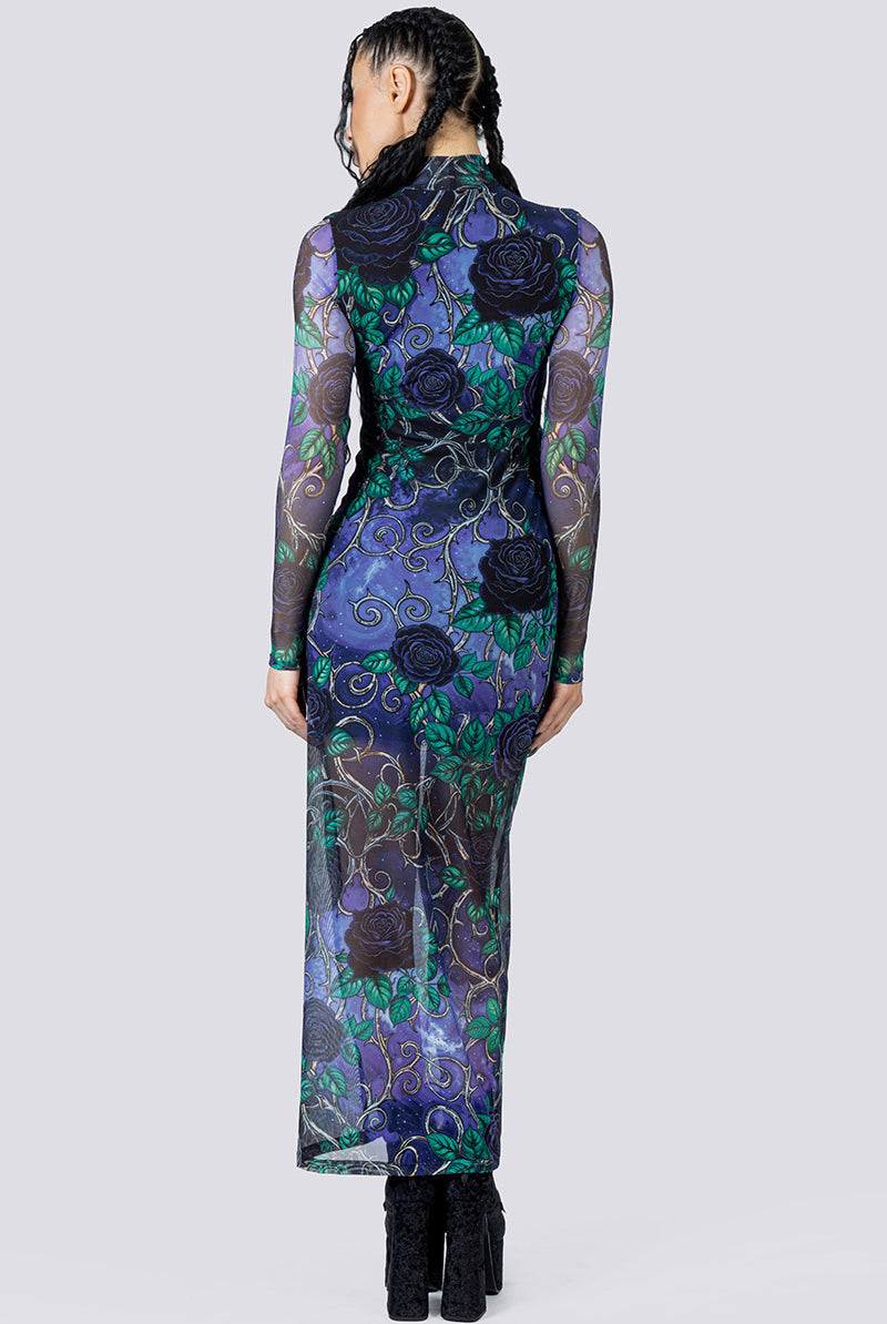 Midnight Roses Mesh Long Sleeve Dress Back Goth Fashion