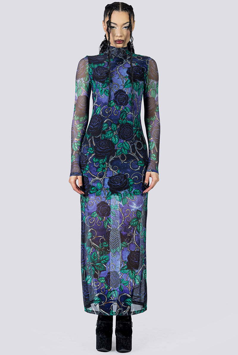 Midnight Roses Mesh Long Sleeve Dress Front Gothic Outfits