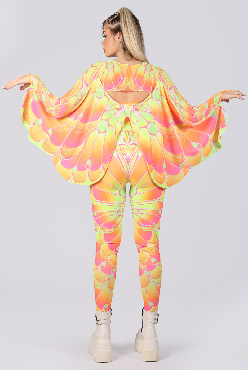 neon-moth-top-wings-full-back-view