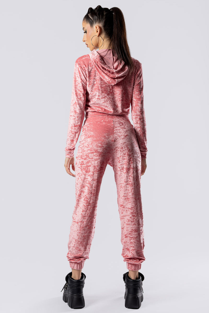 pink-champagne-joggers-set-pink-velvet-back-view