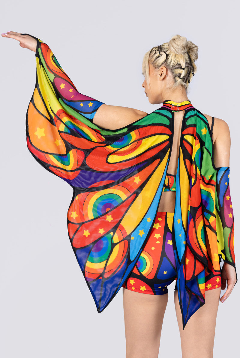 rainbow-metamorphosis-wings-close-back-view