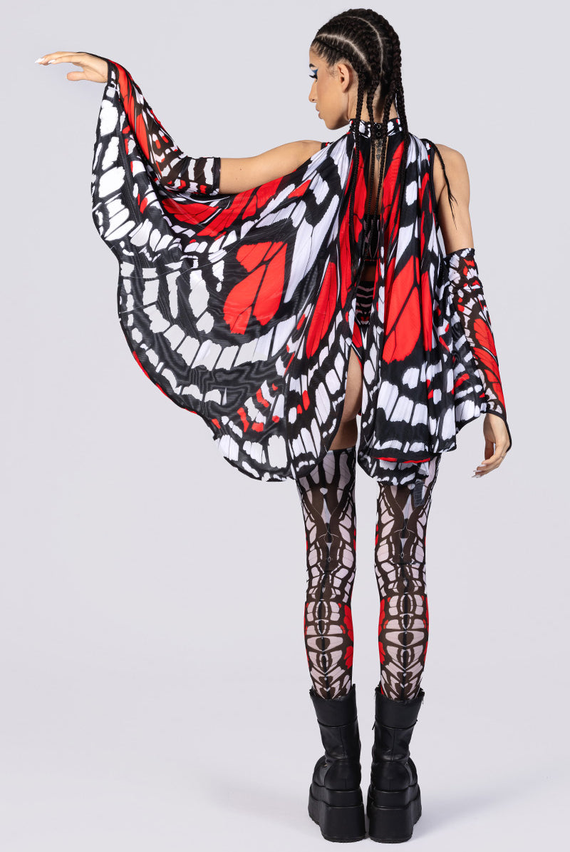 scarlet-widow-wings-back-view