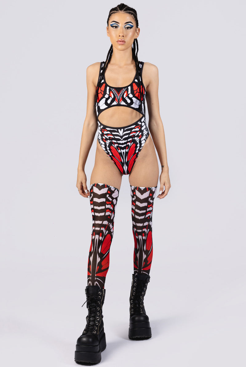 scarlet-widow-wings-front-view