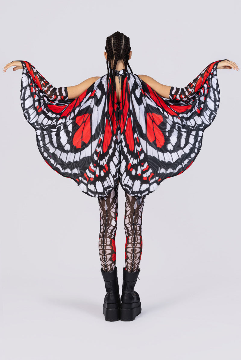 scarlet-widow-wings-full-back-view