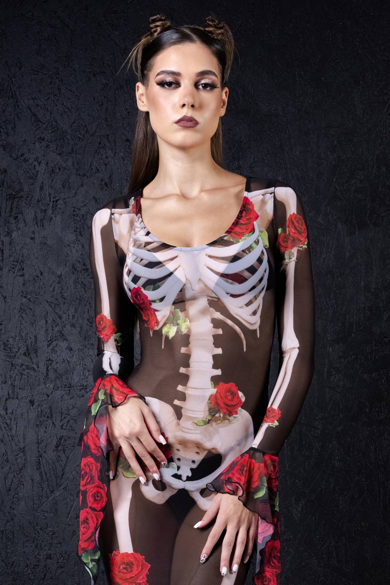 skeleton-n-roses-sheer-mesh-dress-close-view