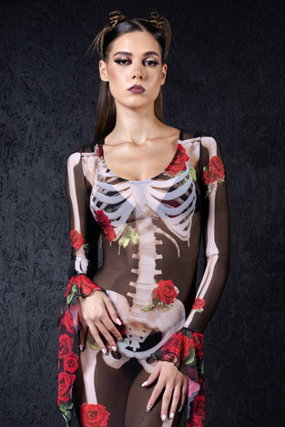 skeleton-n-roses-sheer-mesh-dress-close-view