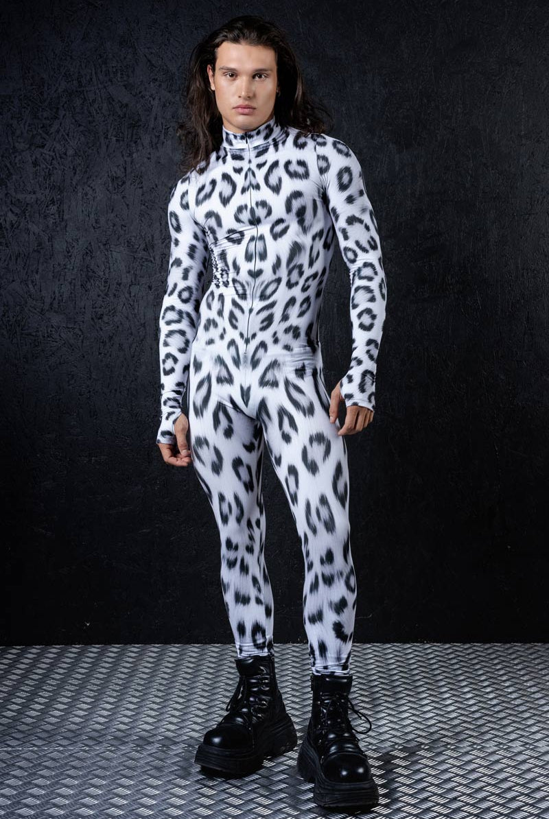 snow-leopard-front-view