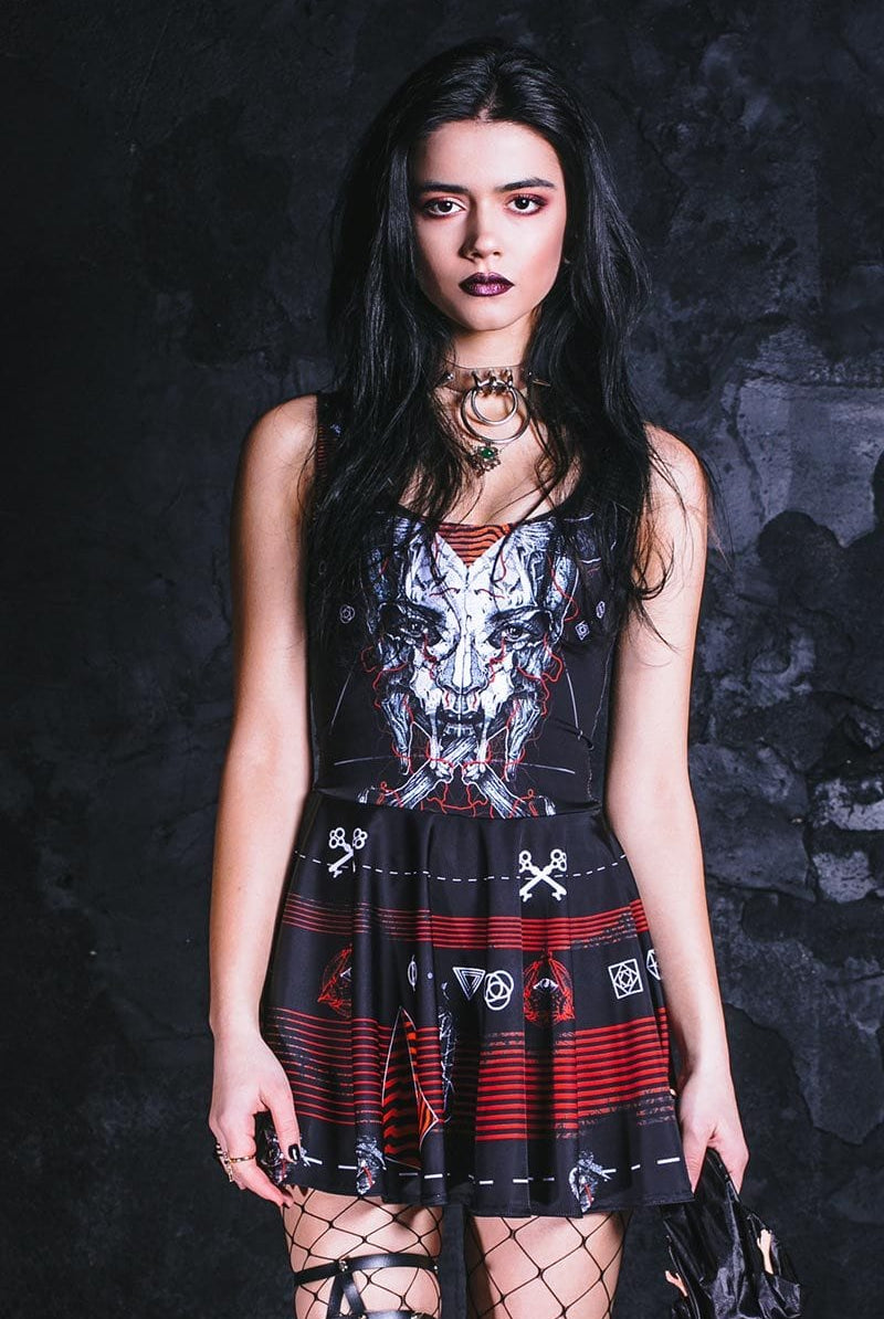 Punk Rock Skull Skater Dress Punk Rock Skull Skater Dress
